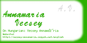 annamaria vecsey business card